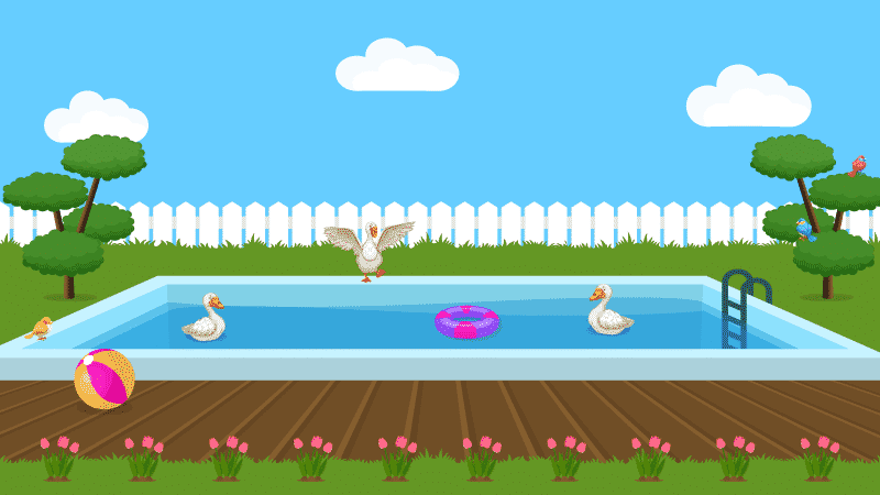 如何让鸭子远离你的泳池